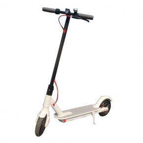 Electric  scooter